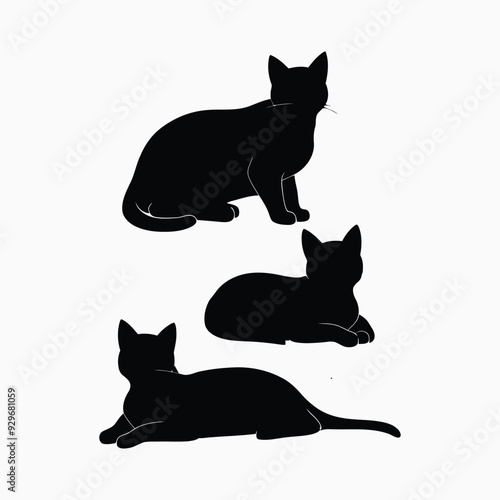 Exotic shorthair cat silhouette vector template illustration
