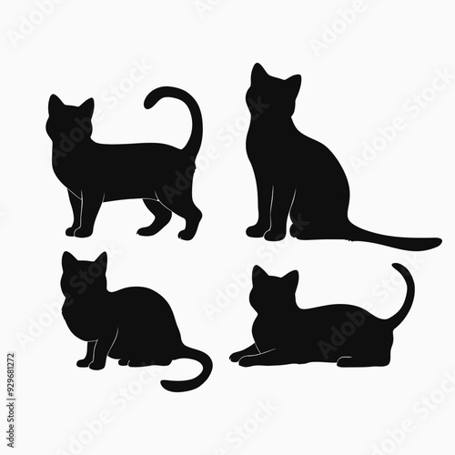 Exotic shorthair cat silhouette vector template illustration