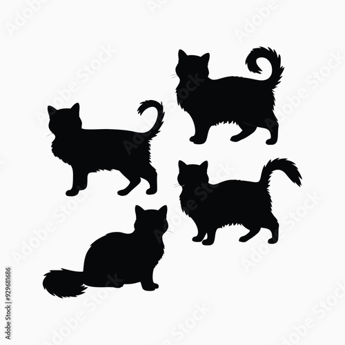 Exotic shorthair cat silhouette vector template illustration