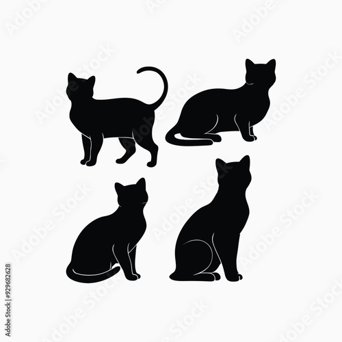 Exotic shorthair cat silhouette vector template illustration