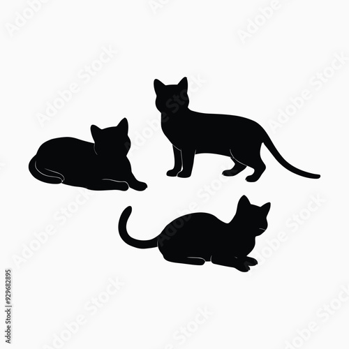Exotic shorthair cat silhouette vector template illustration