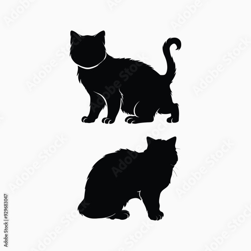 Exotic shorthair cat silhouette vector template illustration