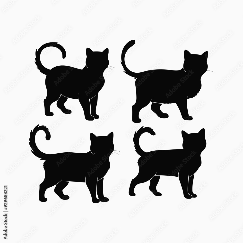 Exotic shorthair cat silhouette vector template illustration Exotic shorthair cat silhouette vector template illustration