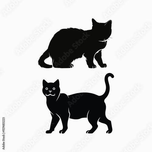 Exotic shorthair cat silhouette vector template illustration