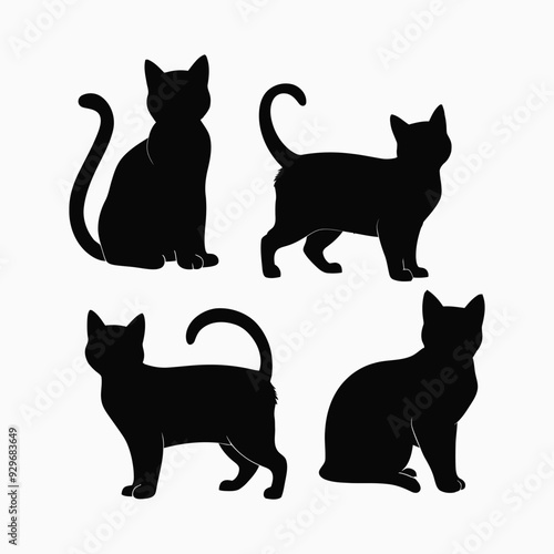 Exotic shorthair cat silhouette vector template illustration