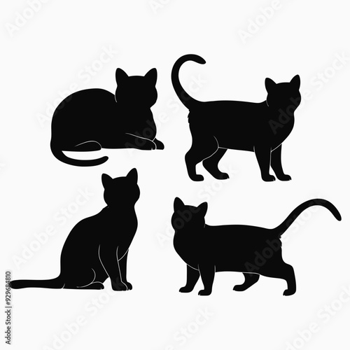 Exotic shorthair cat silhouette vector template illustration