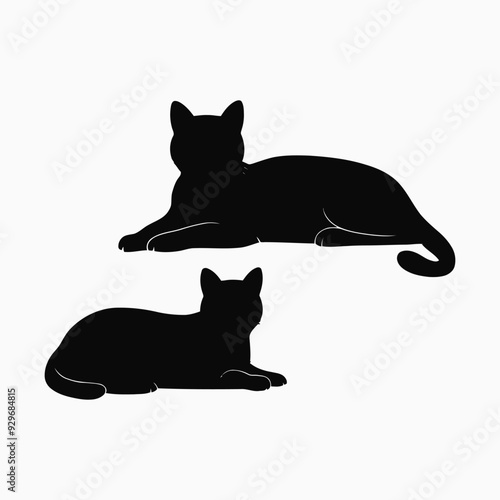 Exotic shorthair cat silhouette vector template illustration