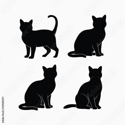 Exotic shorthair cat silhouette vector template illustration