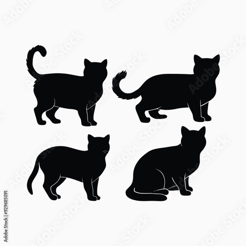 Exotic shorthair cat silhouette vector template illustration