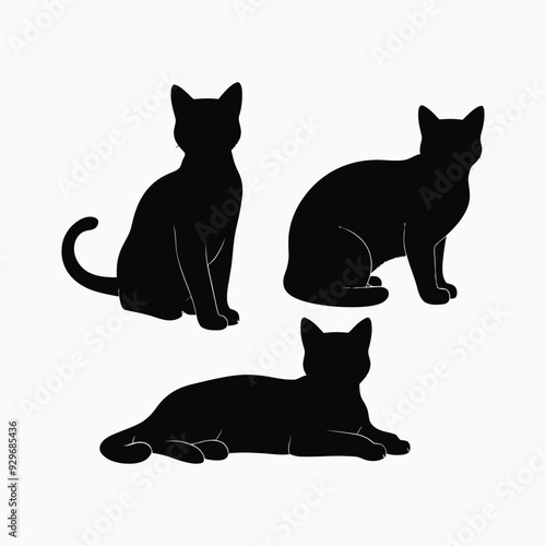 Exotic shorthair cat silhouette vector template illustration