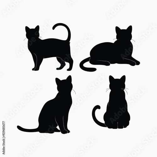 Exotic shorthair cat silhouette vector template illustration