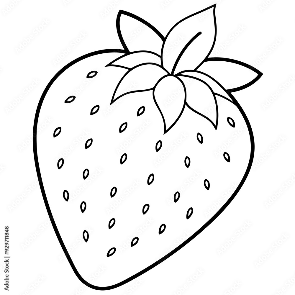 Fototapeta premium illustration of a strawberry line art