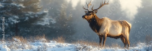 Majestic Elk in Winter Wonderland - Realistic Photo photo