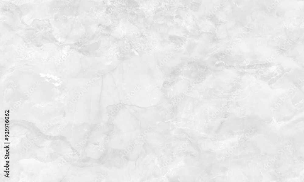 Obraz premium The image features a subtle, light gray marble texture with soft, cloudy patterns.