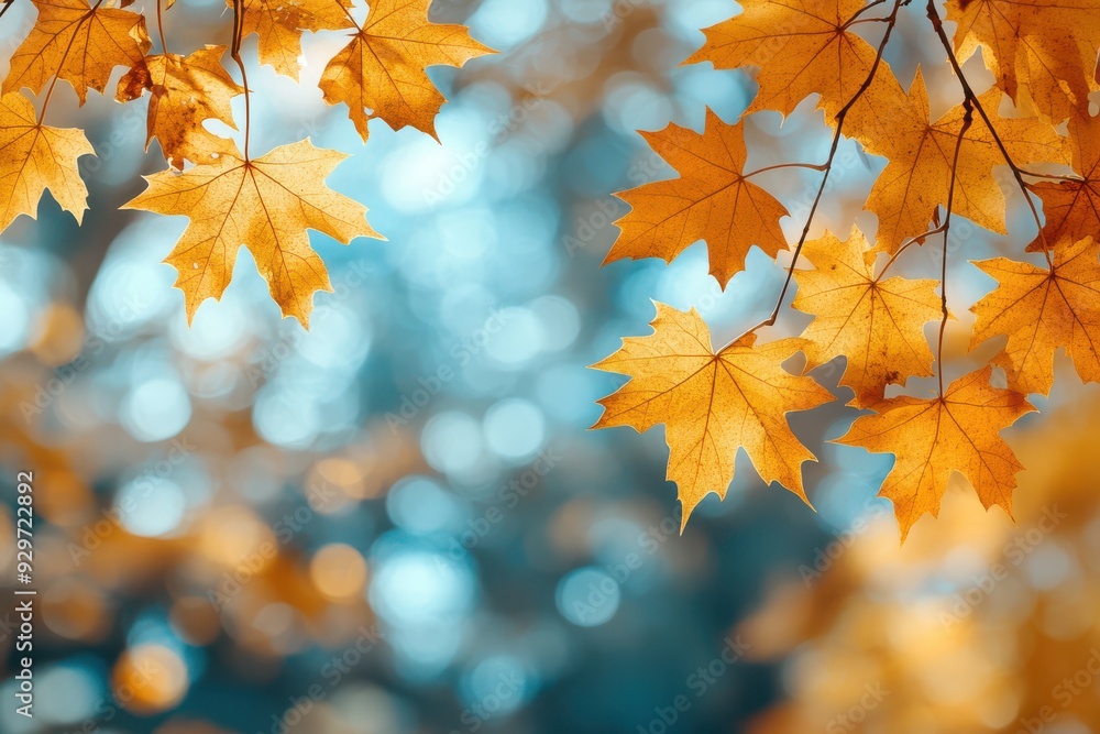 Autumn leaves on a golden blurred background Autumn leaves on a golden blurred background