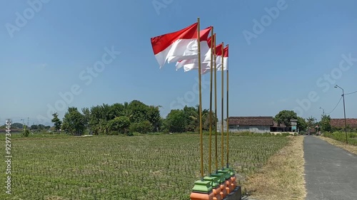 The red and white flag sway in the wind on the rural road near the rice fields. Stand upright on the flagpole.