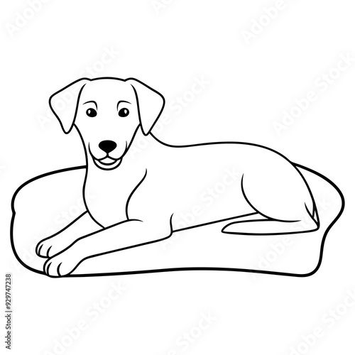 A dog laying on bed front view art vector illustration