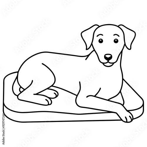 A dog laying on bed front view art vector illustration