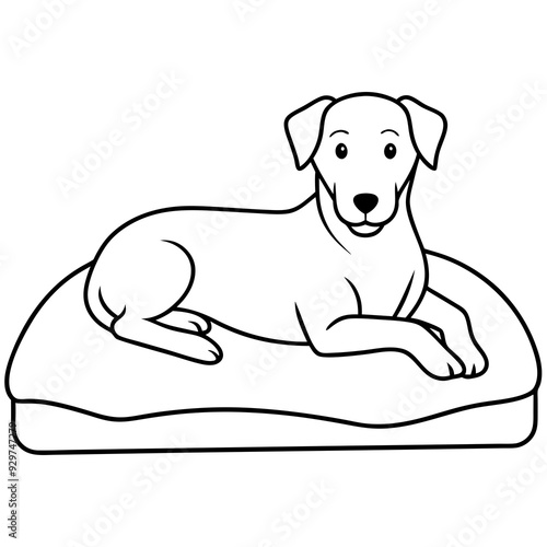 A dog laying on bed front view art vector illustration