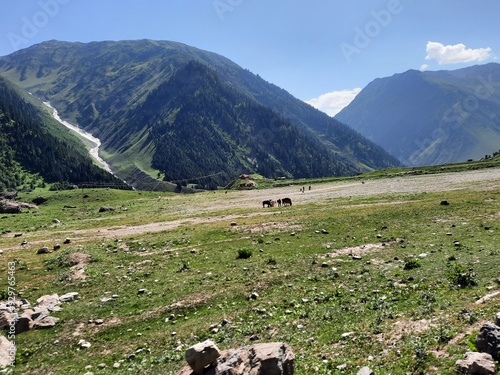 Wallpaper Mural Majestic natural beauty of Gilgit-Baltistan in Pakistan. Gilgit-Baltistan is known for its astonishing natural beauty. Unique landscapes, evergreen  forests, cold deserts and snow covered mountains.  Torontodigital.ca