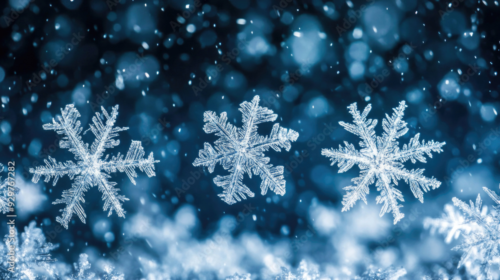 Snowflakes and ice crystals falling on a cold winter night. Snowflakes and ice crystals falling on a cold winter night.