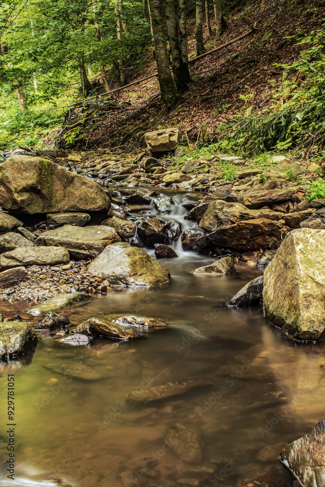 Cascada Bursuc - Europe, Romania - 201 Holovni Street, Putna