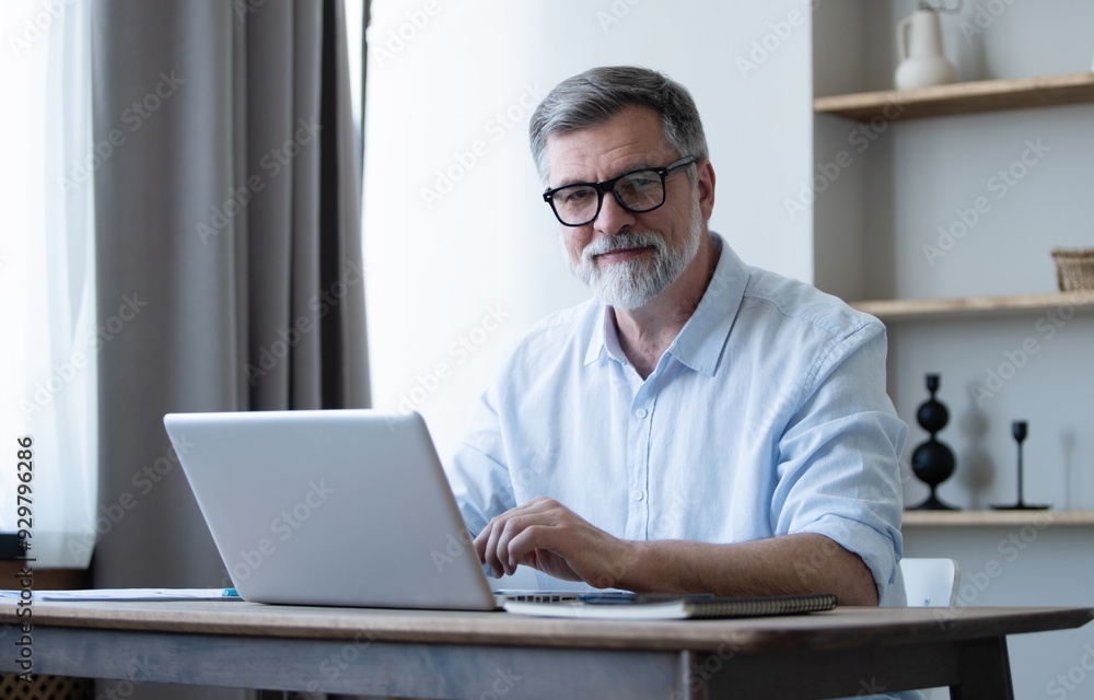 © opolja - Mature businessman working from home using laptop © opolja - Mature businessman working from home using laptop