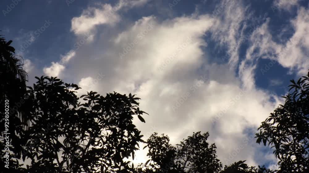 Time lapse video of white clouds moving in a blue sky foregrounded by trees Time lapse video of white clouds moving in a blue sky foregrounded by trees