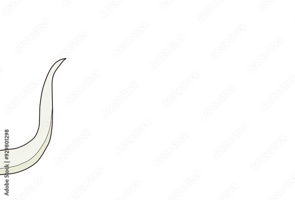 分裂した尻尾のみの巳(白) 分裂した尻尾のみの巳(白)