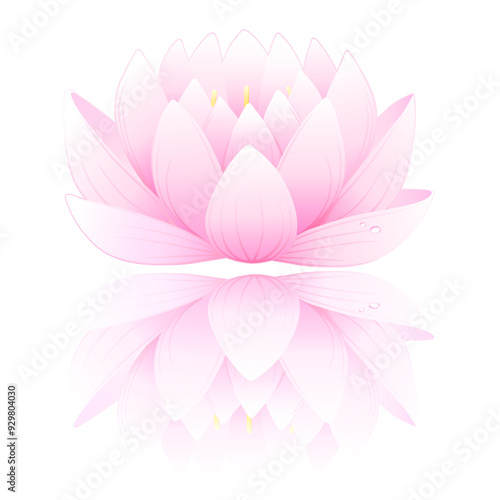 Pink lotus flower seamless pattern isolated on white background, vector illustration and can be scaled to any size without loss of resolution
