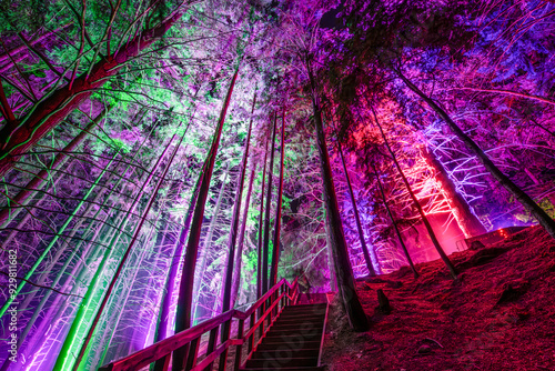 background with lights