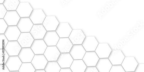 Abstract background with white color hexagons and seamless pattern vector design . luxury white pattern geometric mesh cell texture .hexagon 3d background texture design .