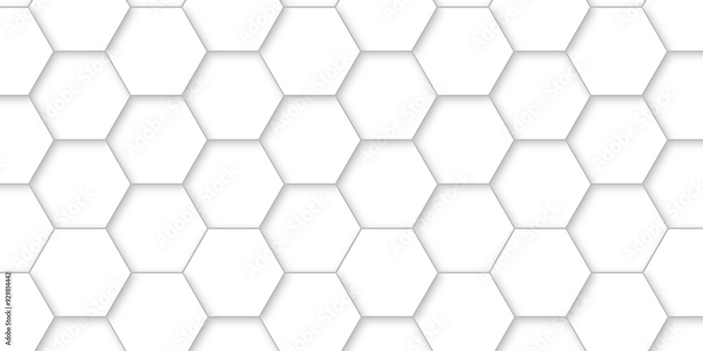 Abstract background with white color hexagons and seamless pattern vector design . luxury white pattern geometric mesh cell texture .hexagon 3d background texture design . Abstract background with white color hexagons and seamless pattern vector design . luxury white pattern geometric mesh cell texture .hexagon 3d background texture design .