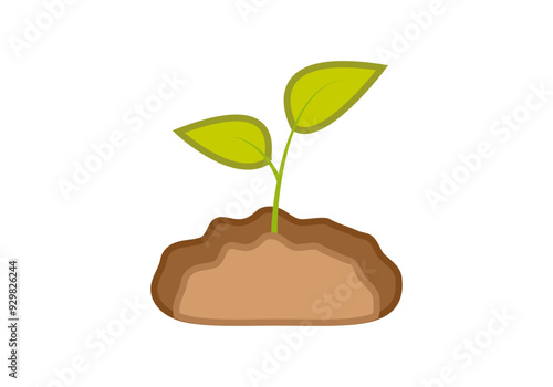 Brote de planta creciendo de la tierra