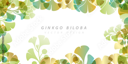 Herbal decorative banner. Vector background with plants design elements. Horizontal frame with ginkgo biloba leaves and branches and copy space.