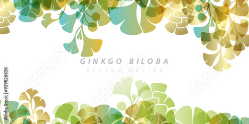 Herbal decorative banner. Vector background with plants design elements. Top and down borders with ginkgo biloba leaves and branches.