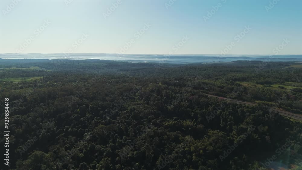 Sunrise in Misiones featuring a jungle, a road, and a touch of mist in the background. Sunrise in Misiones featuring a jungle, a road, and a touch of mist in the background.