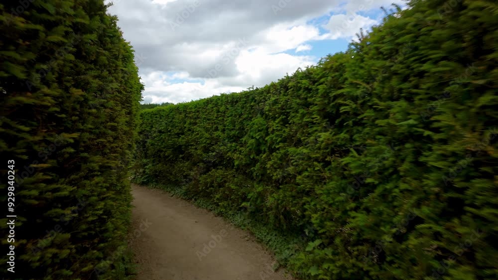 Passage through the green bushes of the labyrinth Passage through the green bushes of the labyrinth