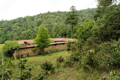 Animal Enclosure, Sitla Estate, Seetla, Nainital, Kumaon, Uttarakhand, India, Asia photo