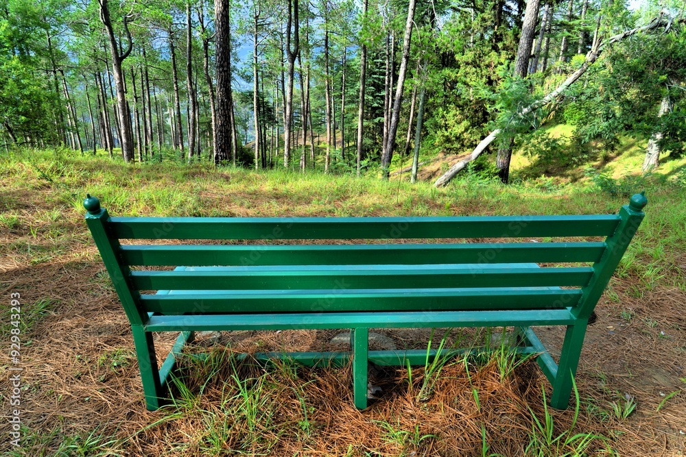 Bench, Eco Park, Deodar, Papparsalli, Almora, Uttarakhand, India, Asia Bench, Eco Park, Deodar, Papparsalli, Almora, Uttarakhand, India, Asia