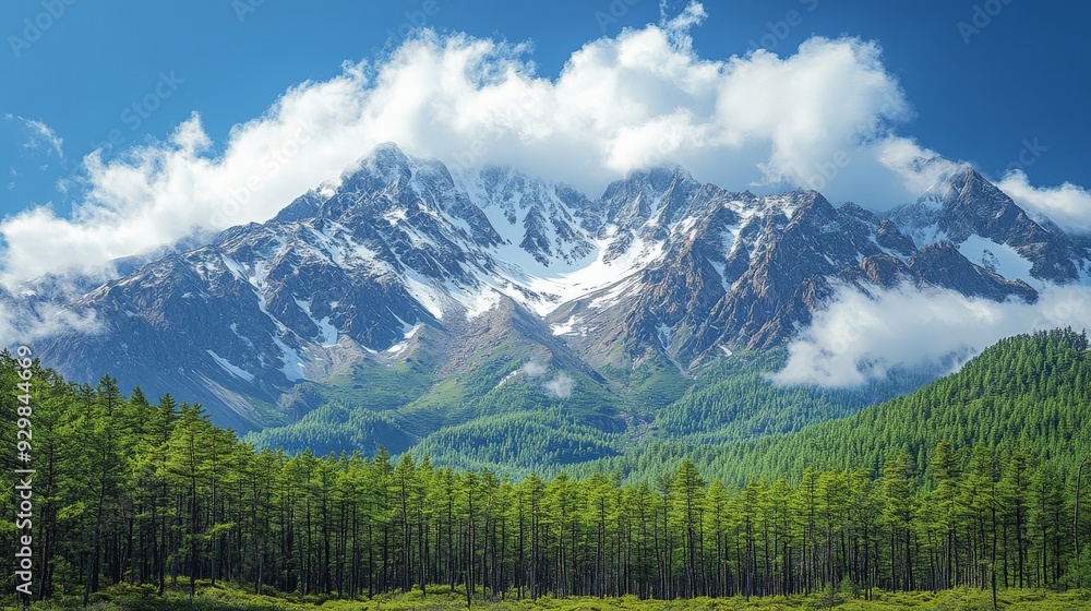snow mountain and field green snow mountain and field green