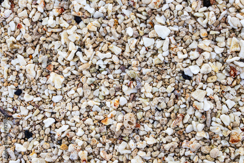 Tiny corals on a special beach