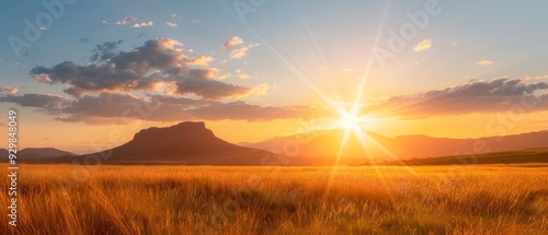  The sun sets over mountains amidst a sea of tall grass Tall grass populates both the foreground and background