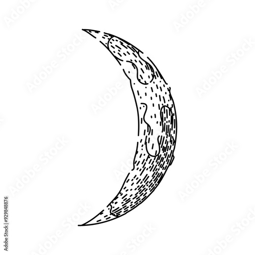 phases moon hand drawn. orbit tides, surface exploration, landing Apollo phases moon vector sketch. isolated black illustration