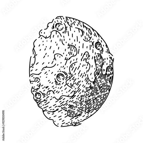 craters moon hand drawn. phases orbit, tides surface, exploration landing craters moon vector sketch. isolated black illustration