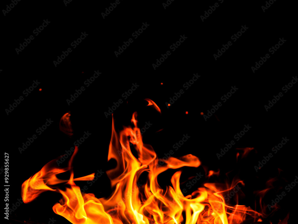 A fire is burning in a pile of wood. The fire is orange and yellow, and it is very hot. Dark black background. Barbeque into the night concept. A fire is burning in a pile of wood. The fire is orange and yellow, and it is very hot. Dark black background. Barbeque into the night concept.