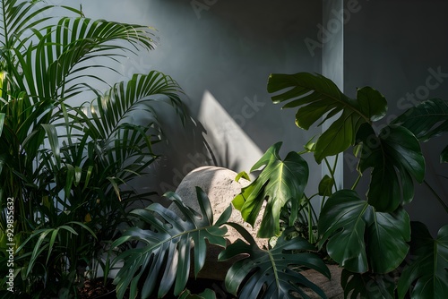 Lush tropical plants contrast with muted gray wall; smooth stone highlighted by sunlight photo