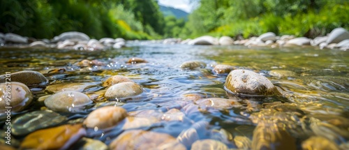 Obraz na płótnie A stream winds through a verdant forest, dotted with numerous rocks and encircled by lush green grass and trees w salonie