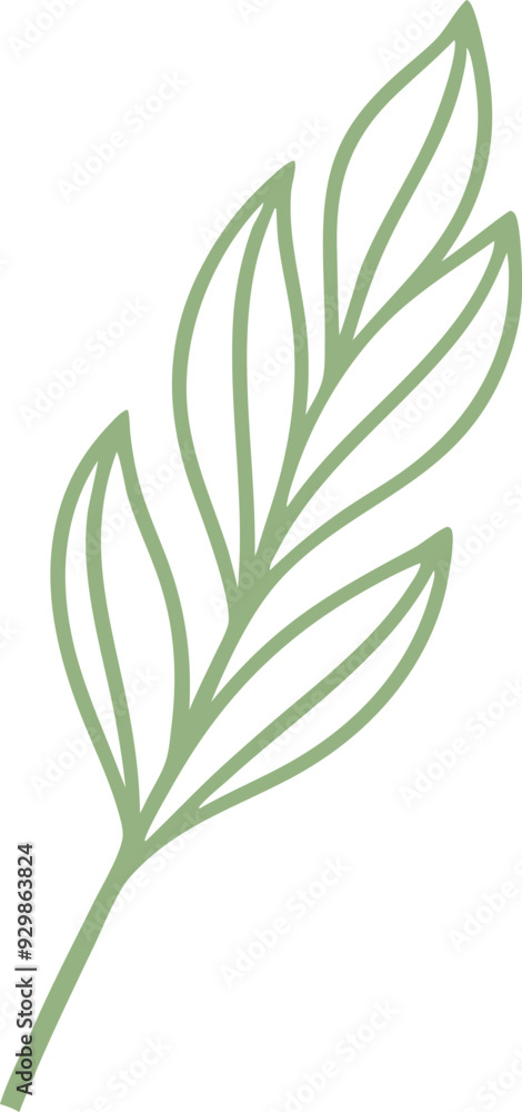 leaves isolated on white leaves isolated on white