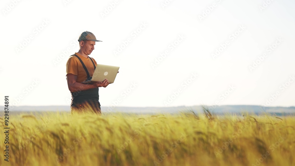 agriculture wheat. two farmer work in a field with wheat. agriculture business farm concept. farmer examining wheat sprouts in lifestyle an agricultural field and check them with laptop agriculture wheat. two farmer work in a field with wheat. agriculture business farm concept. farmer examining wheat sprouts in lifestyle an agricultural field and check them with laptop